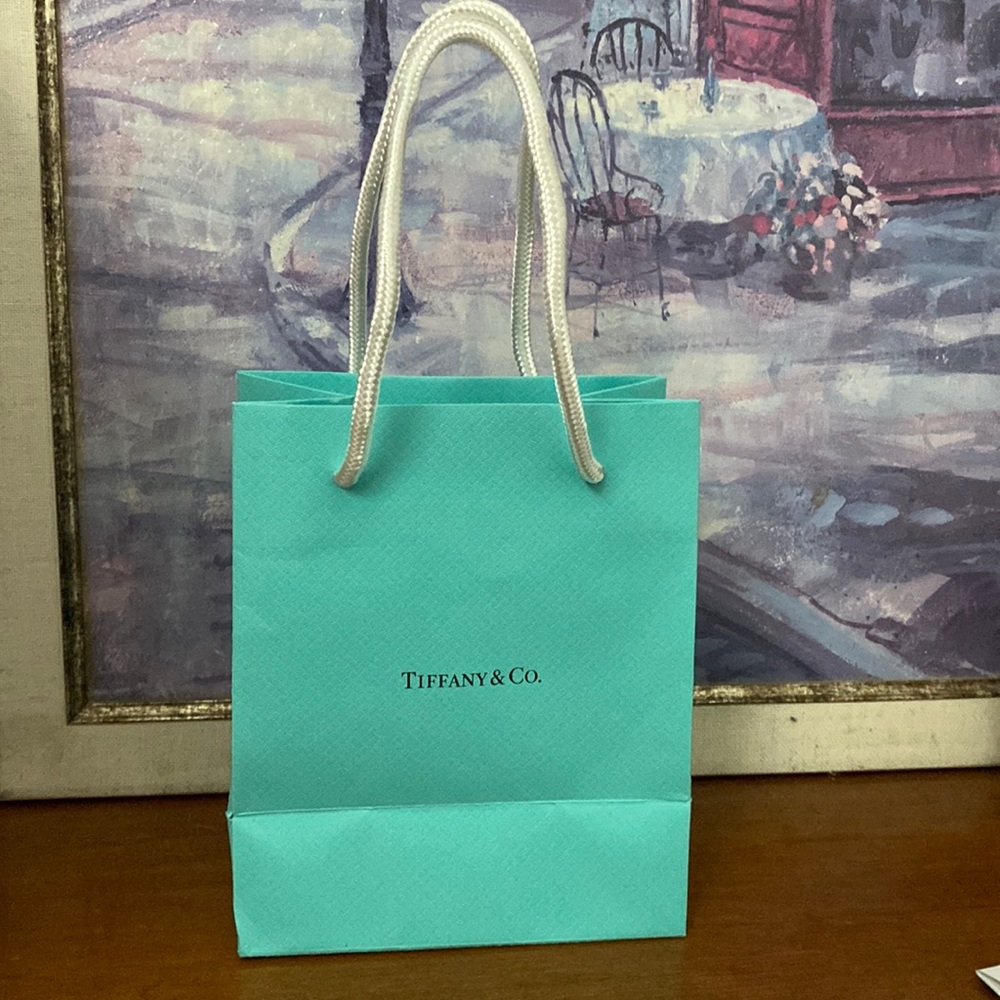 Small Tiffany and co gift bag